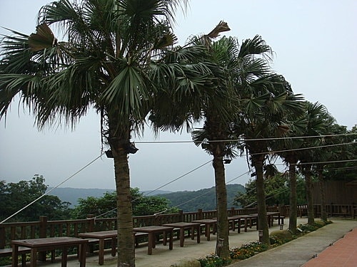 【龍潭】6028咖啡館 - 第50張圖 【龍潭】6028咖啡館