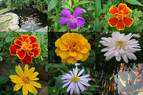 【龍潭】6028咖啡館 - 第53張圖 【龍潭】6028咖啡館