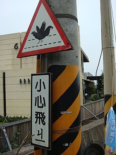 【龍潭】6028咖啡館 - 第59張圖 【龍潭】6028咖啡館