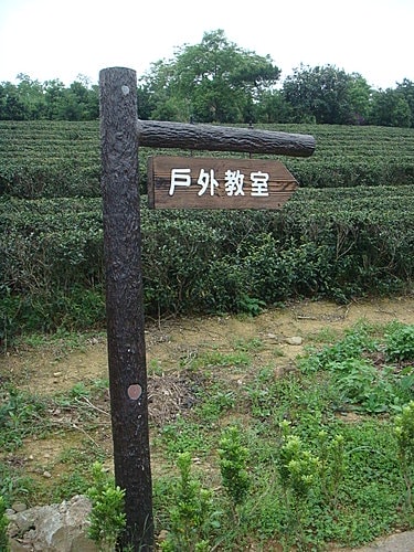 【龍潭】6028咖啡館 - 第70張圖 【龍潭】6028咖啡館