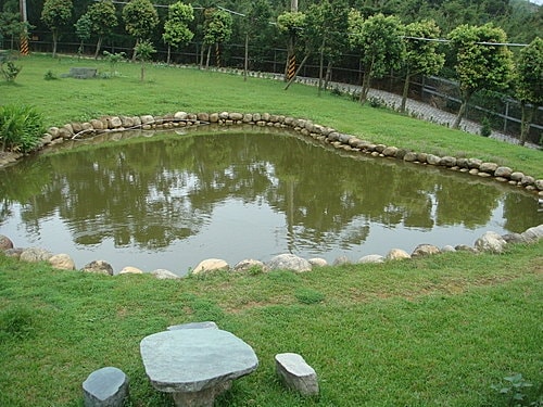 【龍潭】6028咖啡館 - 第73張圖 【龍潭】6028咖啡館