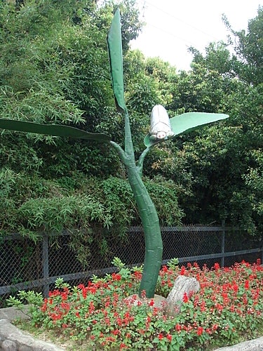 【龍潭】6028咖啡館 - 第76張圖 【龍潭】6028咖啡館