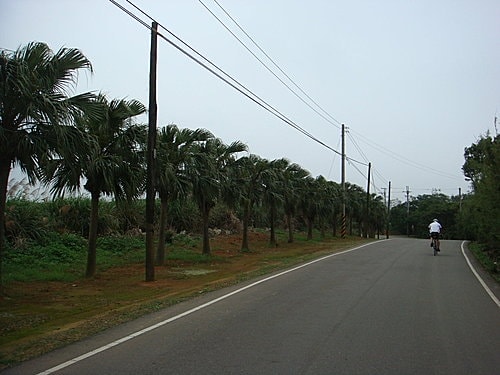 【龍潭】6028咖啡館 - 第82張圖 【龍潭】6028咖啡館
