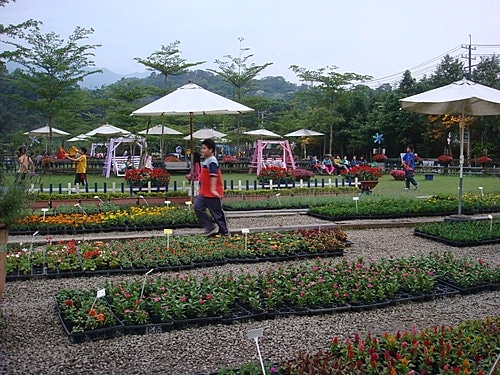 【大溪】天御花園 - 第20張圖 【大溪】天御花園