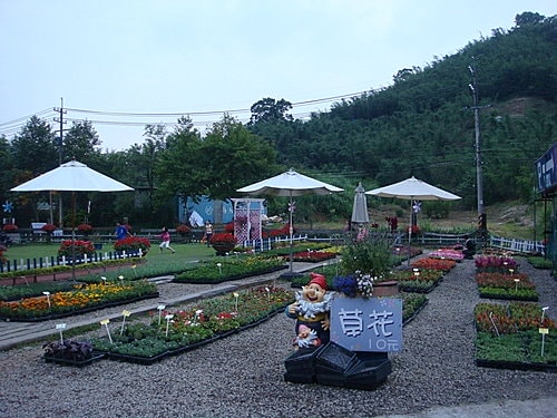 【大溪】天御花園 - 第21張圖 【大溪】天御花園