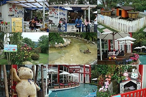 【大溪】花開了休閒農園 - 第3張圖 【大溪】花開了休閒農園