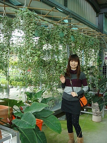 【大溪】花開了休閒農園 - 第11張圖 【大溪】花開了休閒農園