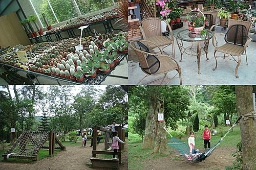 【大溪】花開了休閒農園 - 第12張圖 【大溪】花開了休閒農園