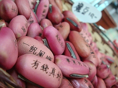 【大溪】花開了休閒農園 - 第13張圖 【大溪】花開了休閒農園