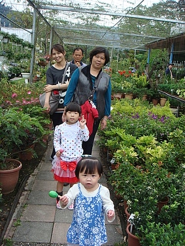 【大溪】花開了休閒農園 - 第16張圖 【大溪】花開了休閒農園