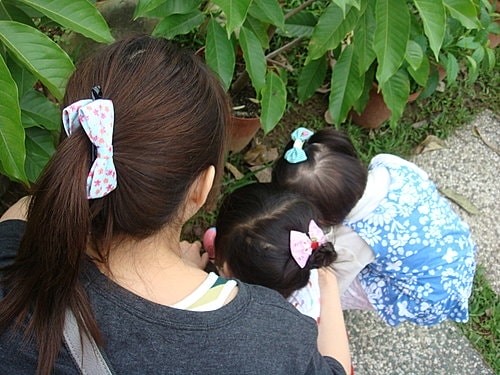 【大溪】花開了休閒農園 - 第18張圖 【大溪】花開了休閒農園