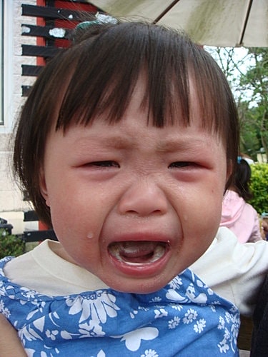 【大溪】花開了休閒農園 - 第39張圖 【大溪】花開了休閒農園