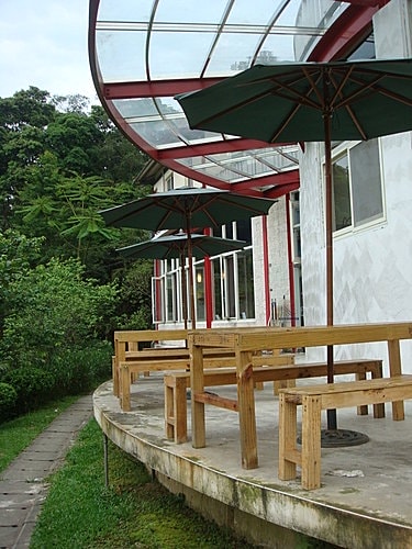 【大溪】花開了休閒農園 - 第54張圖 【大溪】花開了休閒農園