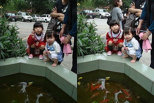 【大溪】二畝園 - 第26張圖 【大溪】二畝園