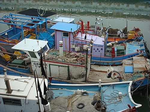 【桃園】竹圍漁港 - 第11張圖 【桃園】竹圍漁港