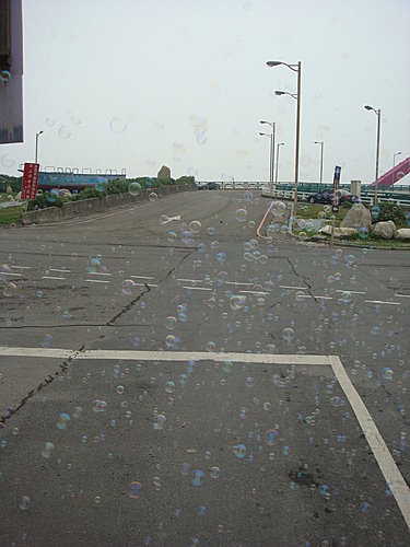 【桃園】竹圍漁港 - 第16張圖 【桃園】竹圍漁港