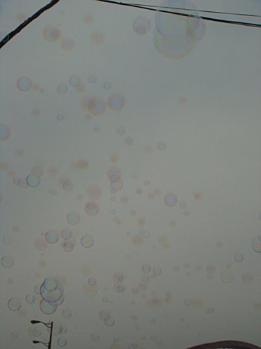 【桃園】竹圍漁港 - 第18張圖 【桃園】竹圍漁港