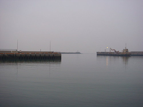 【桃園】竹圍漁港 - 第29張圖 【桃園】竹圍漁港