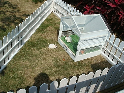 【桃園】風車的故鄉下午茶