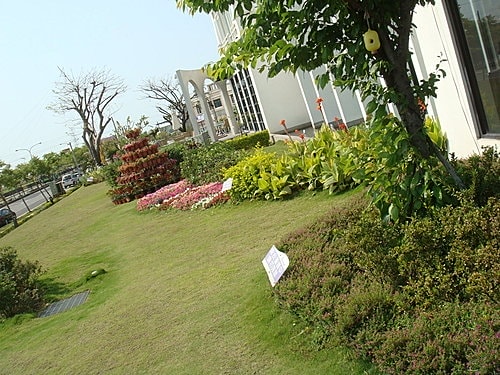 【桃園】風車的故鄉下午茶