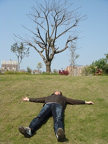 【桃園】風車的故鄉下午茶