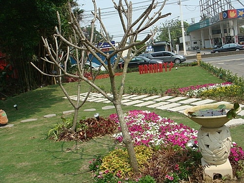 【龍潭】七彩雲南