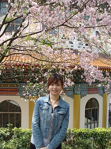 淡水天元宮賞櫻 - 第27張圖 淡水天元宮賞櫻