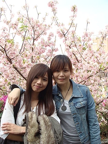 淡水天元宮賞櫻 - 第36張圖 淡水天元宮賞櫻