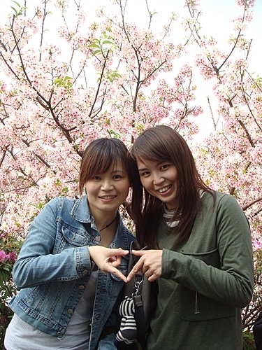 淡水天元宮賞櫻 - 第34張圖 淡水天元宮賞櫻