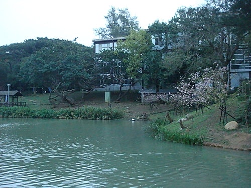 新竹麗池湖畔