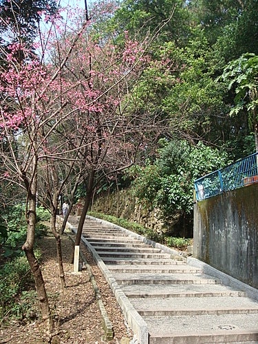 虎頭山公園