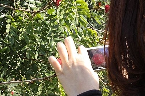 【竹北】喜木咖啡人物篇