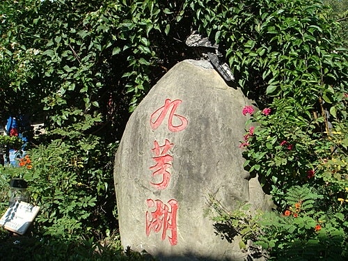 【新埔】劉家莊燜雞