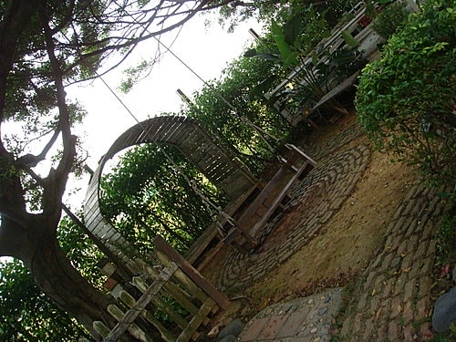 【中壢】阿勃勒農莊