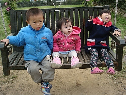 【桃園】春天農場