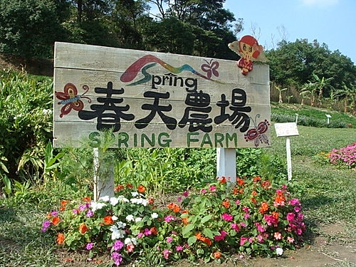 【桃園】春天農場