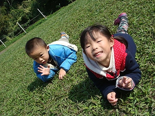 【桃園】春天農場