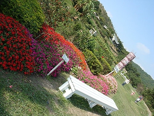 【桃園】春天農場
