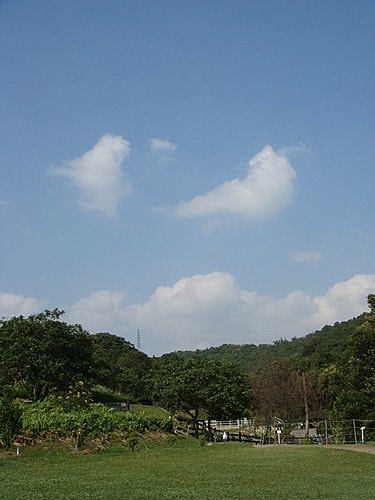 【桃園】春天農場