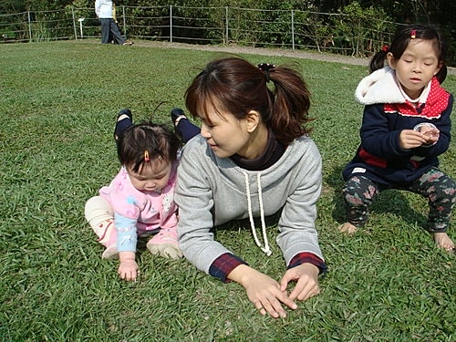 【桃園】春天農場