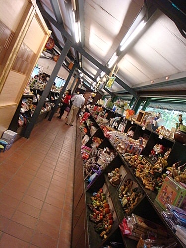【桃園】春天農場