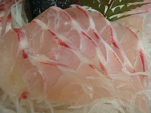 【樹林】卓仔魚店日式料理