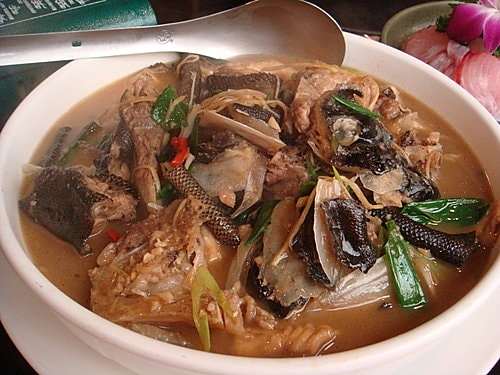 【樹林】卓仔魚店日式料理
