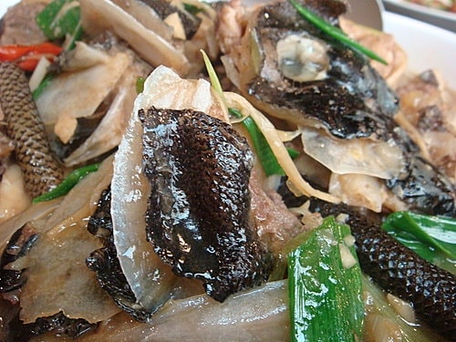 【樹林】卓仔魚店日式料理