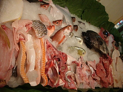 【樹林】卓仔魚店日式料理