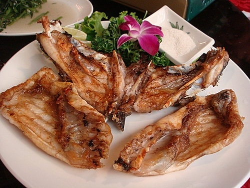 【樹林】卓仔魚店日式料理