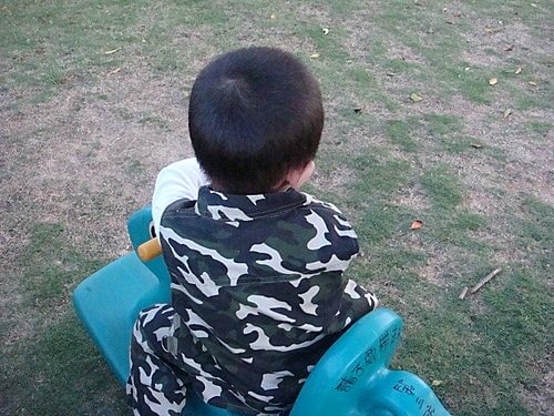 【大園】第三航廈