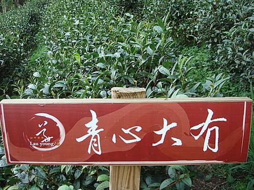 【新竹】山上人家