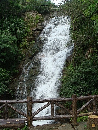 【三峽】花岩山林民宿花園餐廳