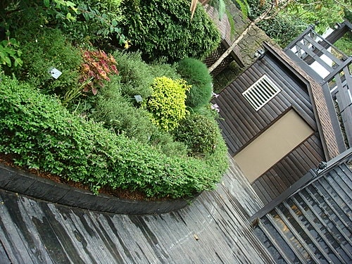 【三峽】花岩山林民宿花園餐廳